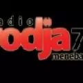 RADIO RODJA - AM 756